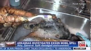 Exxon Devastates Arkansas Neighborhood with Tar Sands Oil Spill