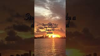 Daily Dose of Serenity: Uplifting Quotes to Inspire and Calm Your Mind #Inspiration #Motivation