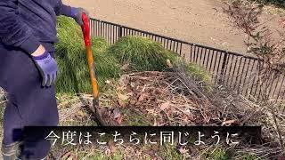 ぶどうと柿の苗を植えます　シニアのヒロシ