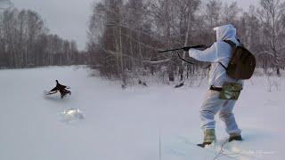 ОХОТА НА ТЕТЕРЕВА ЗИМОЙ НА ЛУНКАХ. Застал стаю прямо на дороге! A Winter Black Grouse Hunt