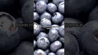 #чорниці #ягоди #здоровехарчування кориснаїжа #вітаміни #антиоксиданти #літняїжа #смачно