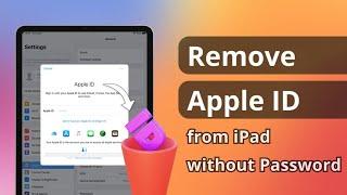 [4 Ways] How to Remove Apple ID from iPad without Password