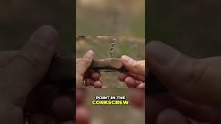 Unlocking the Secrets of the Swiss Army Knife Corkscrew