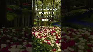 Into the Nature #motivation #shortvideo #youtube #quotes #inspiration #shorts #yttrending #viral