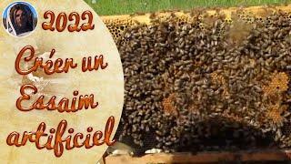  TUTORIAL How to create an artificial swarm on 2 frames
