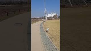 시흥 갯골생태공원 산책로1