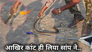 At last this snake bit me, dangerous poisonous snake, This snake bite me, watch the full video