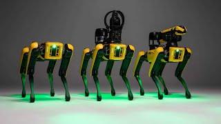 Experience the Dance of Boston Dynamics Robots | Techie Sapien