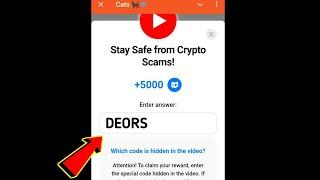 Stay Safe from Crypto Scams! Cats Code | Stay safe from Crypto Scams cats video code today