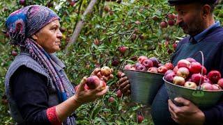  Homemade Apple Pavidlo: A Sweet Village Recipe 