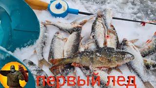 ЩУКУ НА ФЛАЖКИ. КОСТЁР. ЮМОР. РЫБА КЛЮЕТ .