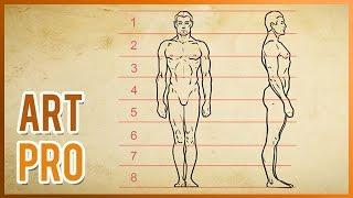 How to draw the HUMAN BODY Proportions [METHOD]