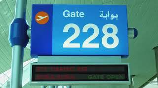 Your Gate to Paradise is Now Boarding I DAMAC Properties