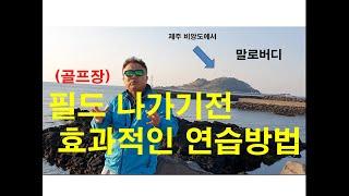 [골프레슨]필드(골프장)나가기전 효과적인 연습방법-말로버디