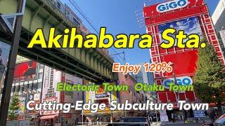 【Akihabara Sta.】Enjoy 120% Electoric Town Otaku Town Cutting-Edge Subculture Town