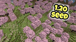 Epic Cherry Blossom Biome Seed In Minecraft 1.20! (Java/Bedrock)