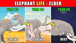 Elephant Life - Elder | Animal Animation