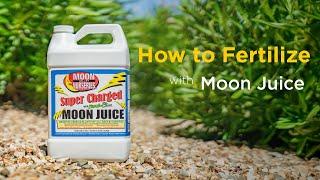 How To Fertilize: Super Charged Moon Juice