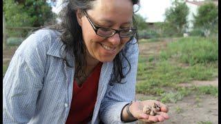 Nobody Knows the Truffles I've Seen - Dr Teresa Lebel