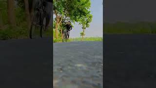 cycle stand dhamakedar dhamaka Mohit Soni short  #short #cycle