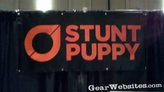 Stunt Puppy - Hands Free - Active Dog Leashes