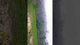 Pradeep Vishwakarma ️