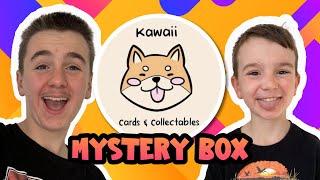 It's KAWAII MYSTERY BOX time #pokemon #pokemontcg #family