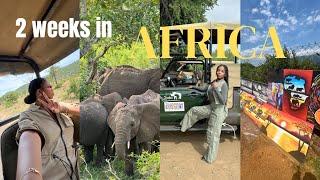 SOUTH AFRICA TRAVEL VLOG: 2 WEEKS IN MOTHER LAND, SAFARI, VILLAGE TOUR, WINERY, EXPLORING AFRICA