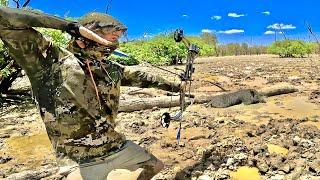 SOLO BOW HUNT in AUSTRALIAS OPEN SWAMPLANDS