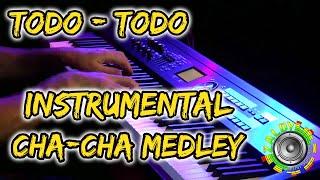 BEST TODO - TODO INSTRUMENTAL CHA - CHA - ONE MAN BAND