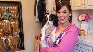 My New Walk In Closet | Makeup Geek
