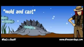 WHAT'S A FOSSIL?