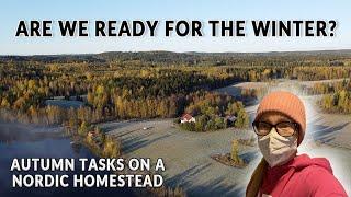 Will We Get Everything Done Before Winter? | Lots to Do in The Finnish Countryside