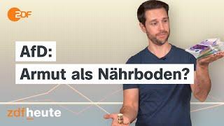 Soziale Ungleichheit: Nährboden für die AfD? I Politbarometer2go