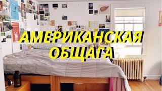 ТУР ПО ОБЩАГЕ В США: Живу с Крысами