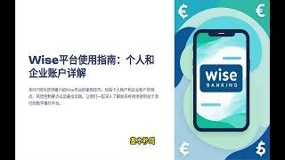 个人Wise和企业wise的风控和使用技巧