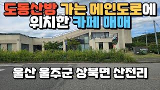 도동산방 가는 길목에 위치한 카페 매매 현 카페 운영중 울산 울주군 상북면 산전리