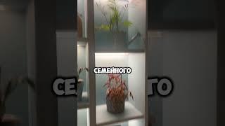 Где в Любляне едят местные? Секреты Словении