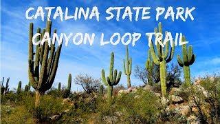 CATALINA STATE PARK CANYON LOOP TRAIL