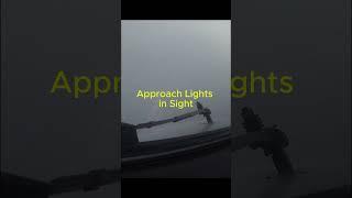 Watch a Boeing 737 complete a landing in near zero visibility. Instrument flying at its finest!