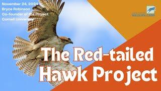 Wild Wonders: Bryce Robinson on The Red-tailed Hawk Project | October 27 2024