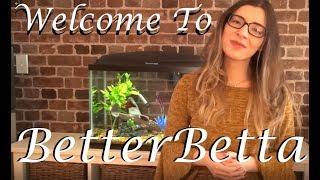 BetterBetta | Fish Care & More!