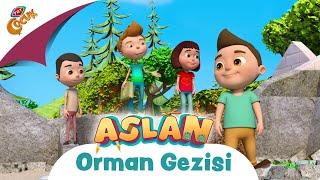 Aslan | Orman Gezisi