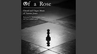 Of a Rose