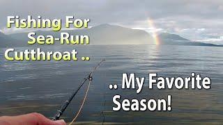 Fly-fishing for Sea-run Cutthroat Trout - my favorite season!