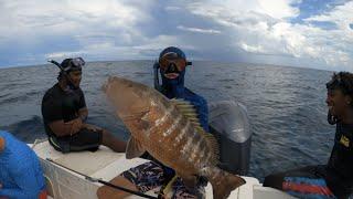 Polespearing CUBERA SNAPPER Off Of A SHARKS BACK?!? - Episode 14