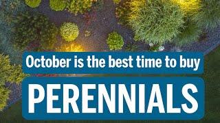 Elevate Your Curb Appeal: Save on Perennials This Fall!