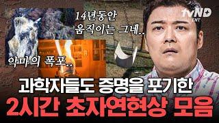 [#프리한19] 과학으로는 설명할 수 없는 초자연 현상들 UFO 같은 섬광부터 빗자루를 타고 날아다니는 마녀까지? | #골라보는