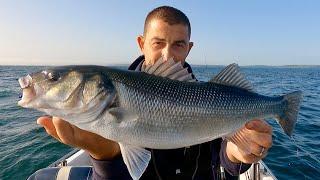 Catching Big Bass and AMAZING Cuttlefish footage - Incredible underwater !!! | The Fish Locker