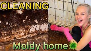 DEEP CLEANING THE MOLDIEST HOME EVER!  Amazing transformation!